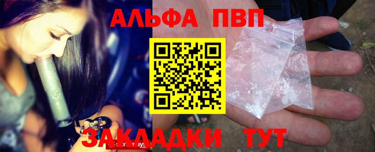 A PVP СК КРИС Нефтекумск